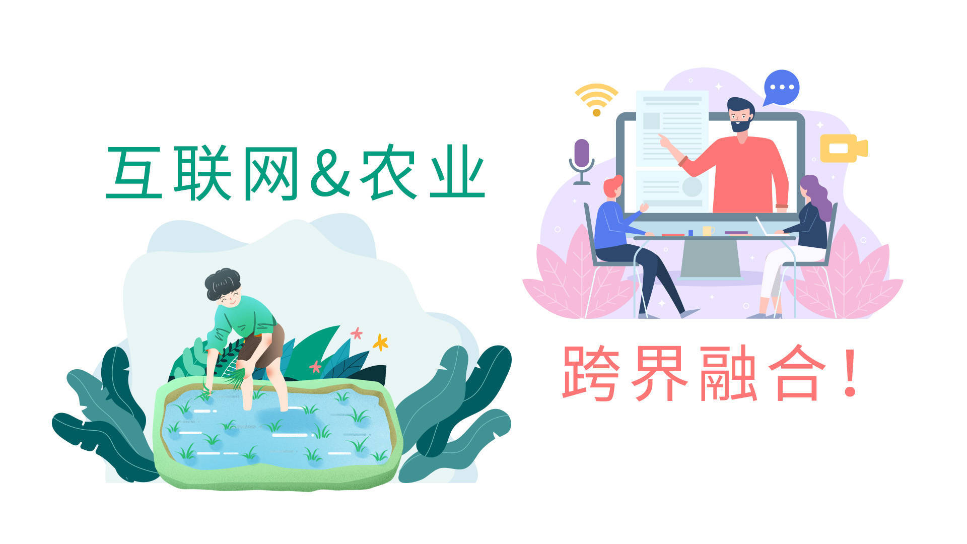 智能碾米机3.jpeg 智能碾米机3.jpeg